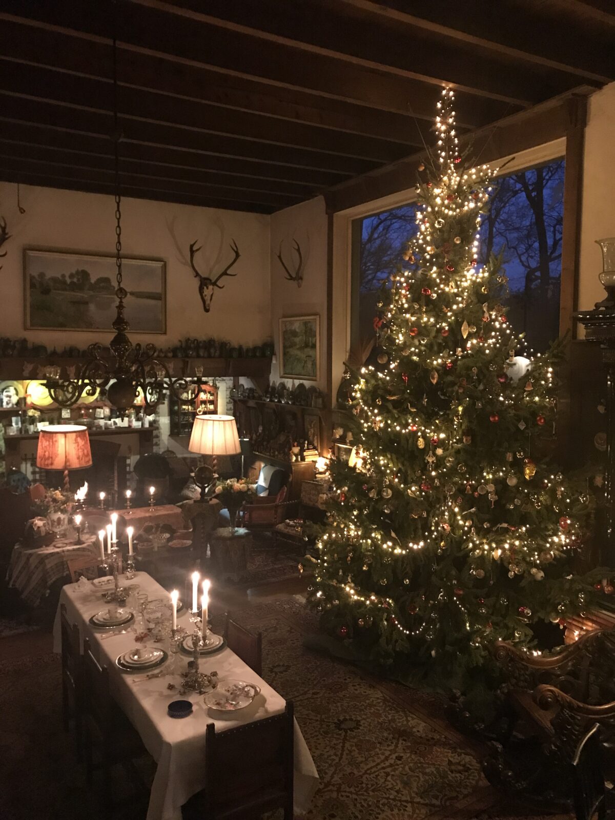 Kerstboom Kolthoorn 2025