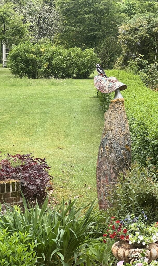 Tuin-Kolthoorn-Specht-op-Hedwigs-hoed